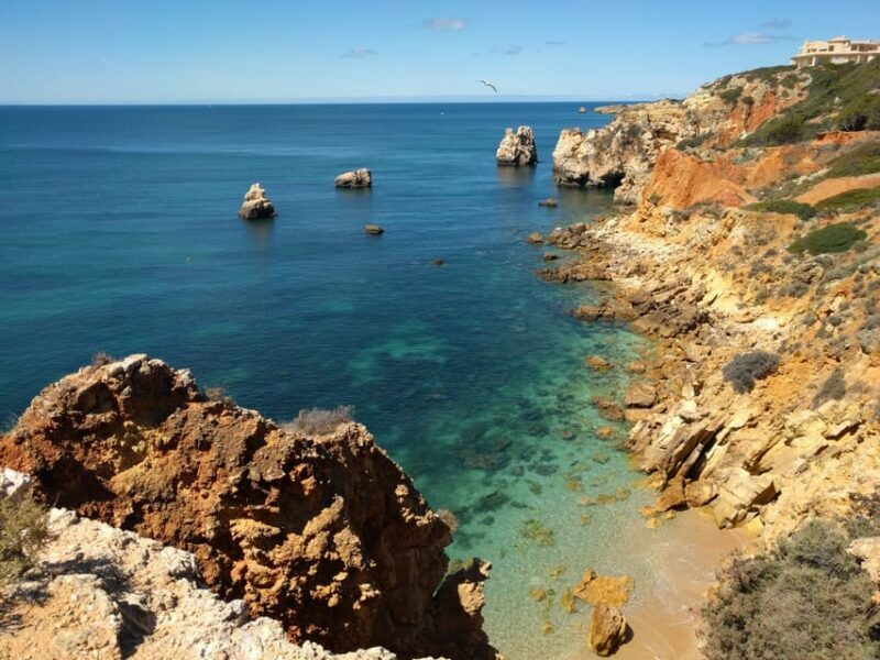 Albufeira: Private Tuk-Tuk Tour - Final Thoughts