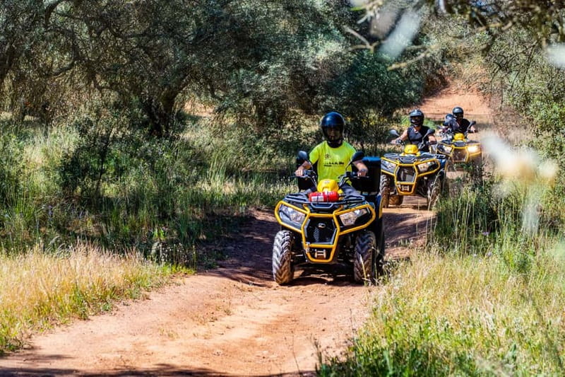 Albufeira: Quad Biking Adventure in the Algarve Countryside - Who Will Love This Tour?