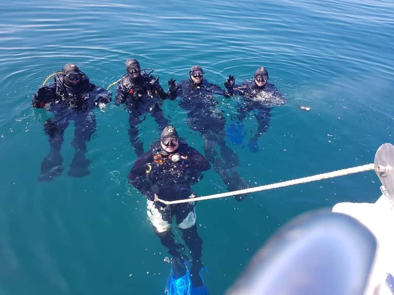 Albufeira: Scuba Diving Experience for Beginners - What to Expect from the Scuba Diving Experience in Albufeira