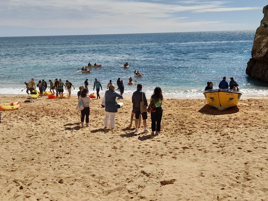 Albufeira: Silves Castle, Marinha Beach, and Benagil - Group Size and Languages