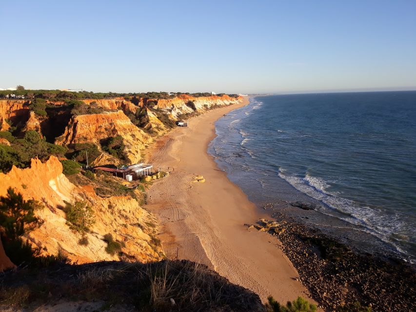 Albufeira: Tuk-tuk Sightseeing Tour - Who Will Love This Tour?