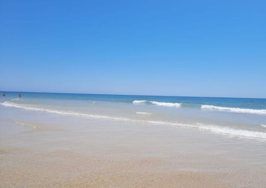 Albufeira - Visit Olhão & Culatra Island With Lunch Included - Key Points
