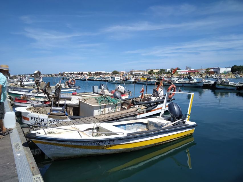 Albufeira - Visit Olhão & Culatra Island With Lunch Included - Beachfront Leisure Time
