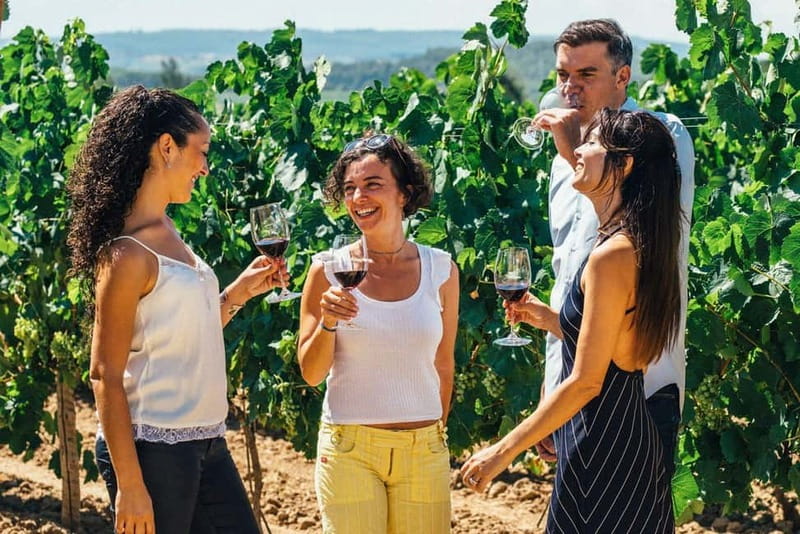 Albufeira: Wine Tasting Tour with Castle and Windmill Visit - An In-Depth Look at the Tour Experience