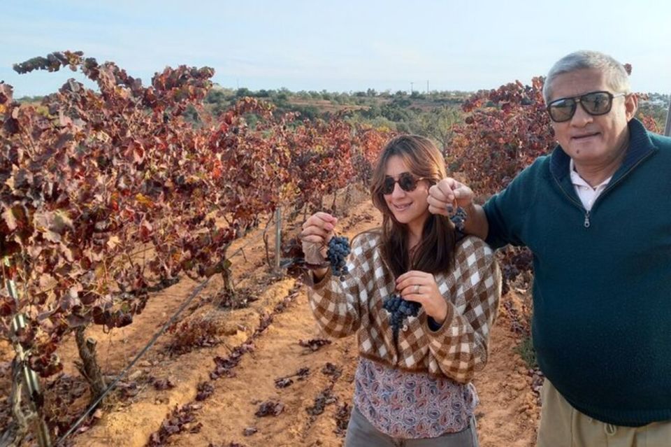 Albufeira: Winery Tour With Wine Tasting and Tapas - Highlights of the Tour