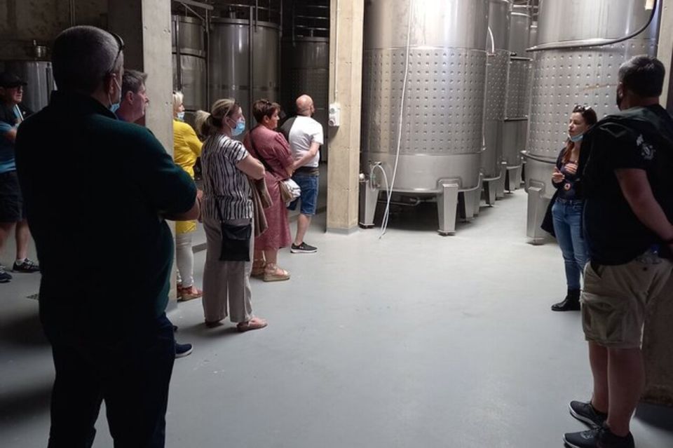 Albufeira: Winery Tour With Wine Tasting and Tapas - Transportation Arrangements
