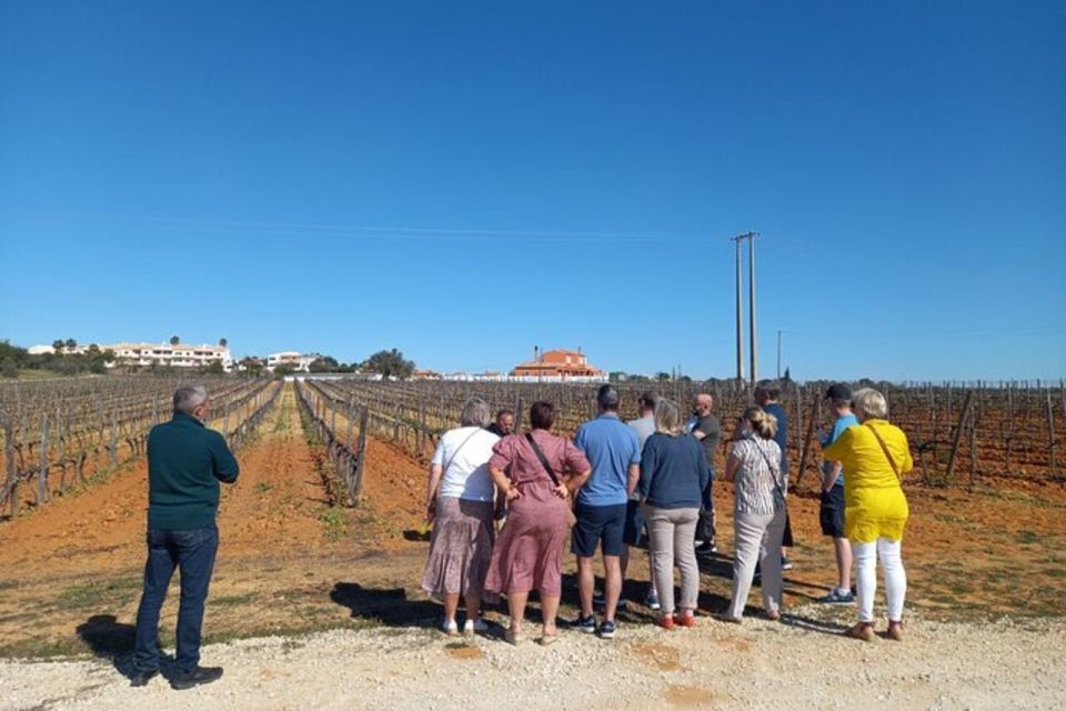 Albufeira: Winery Tour With Wine Tasting and Tapas - Exploring the Winery