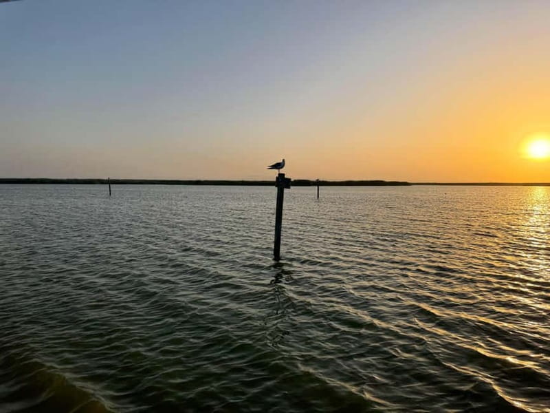 Albufera Bike Adventure: Wetlands, Beaches & Biodiversity - An In-Depth Look at the Tour Experience  