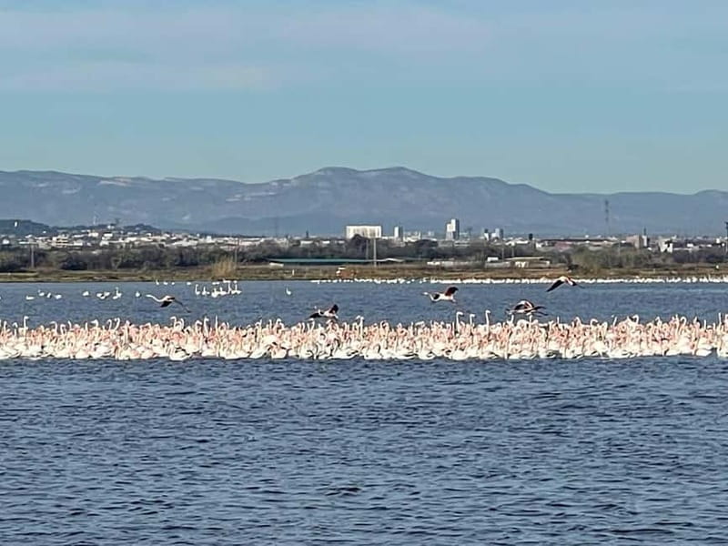 Albufera Bike Adventure: Wetlands, Beaches & Biodiversity - Final Thoughts on the Albufera Bike Adventure  