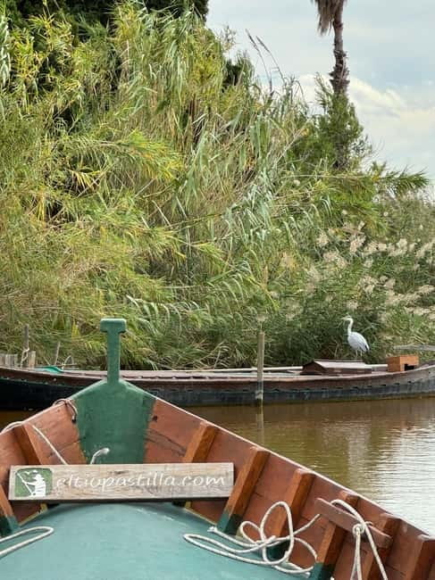Albufera de Valencia: Guided boat ride through the Albufera - Authentic Experiences and Authenticity