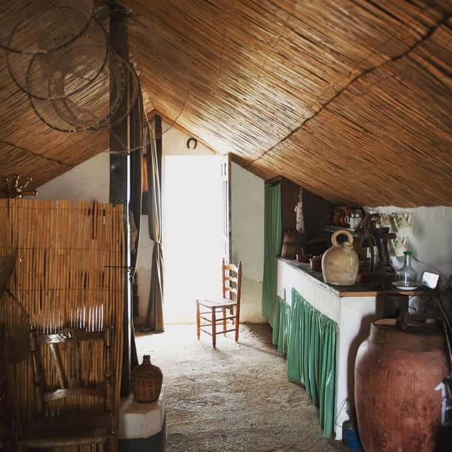 Albufera of Valencia: boat ride and visit to the barraca - Albufera of Valencia: boat ride and visit to the barraca