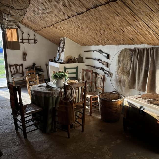 Albufera of Valencia: boat ride and visit to the barraca - The Sum Up
