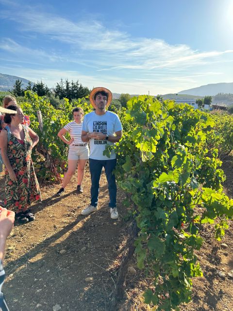 Alcamo: Natural Wine & Olive Oil Tasting - Sicily - Directions to the Meeting Point