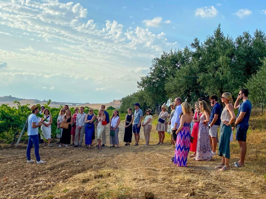 Alcamo: Natural Wine & Olive Oil Tasting - Sicily - Pricing and Reservation Details