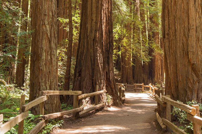 Alcatraz With Muir Woods and Sausalito Tour - Meeting and Pickup Information