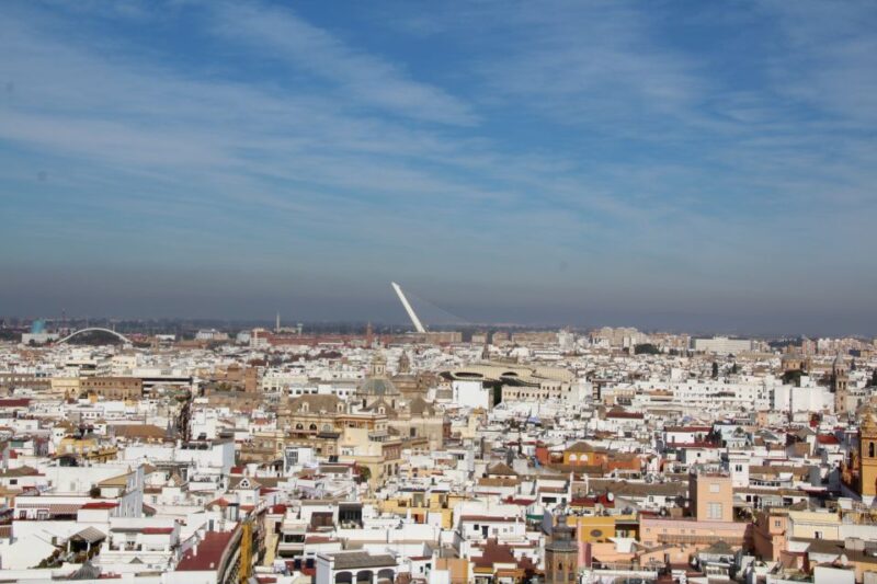 Alcázar Guided Tour & Rooftop Tour - Tour Inclusions