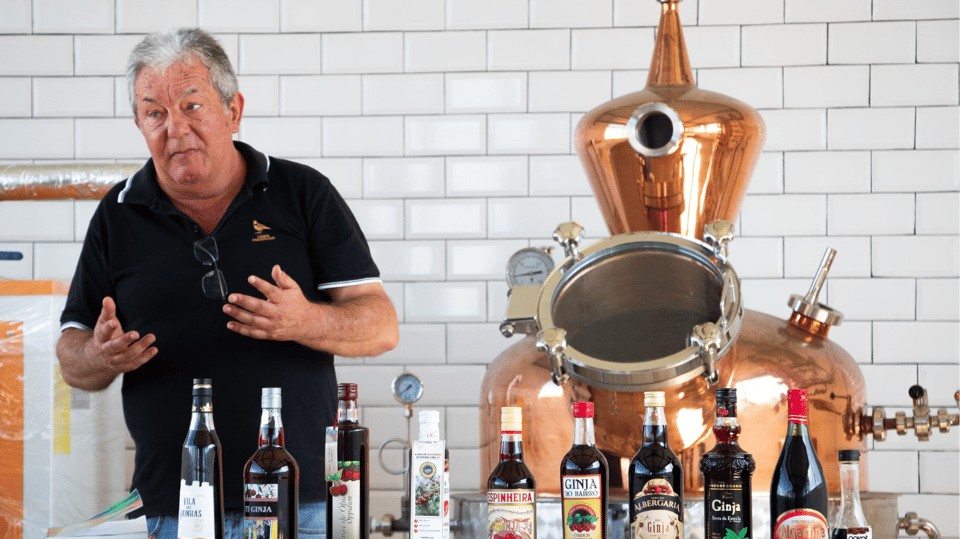 Alcobaça: Visit to the Lemos Figueiredo Winery and Distillery - Final Thoughts: Who Should Sign Up?