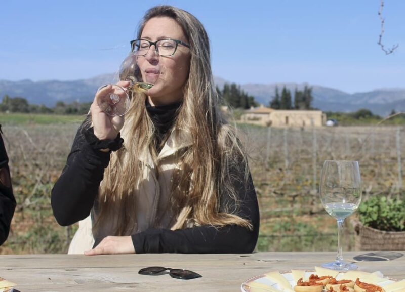Alcúdia/Can Picafort: Guided Vineyard Visit and Wine Tasting - Key Points