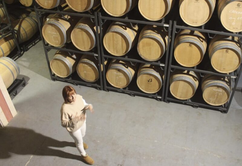 Alcúdia/Can Picafort: Guided Vineyard Visit and Wine Tasting - Wine Tasting Details