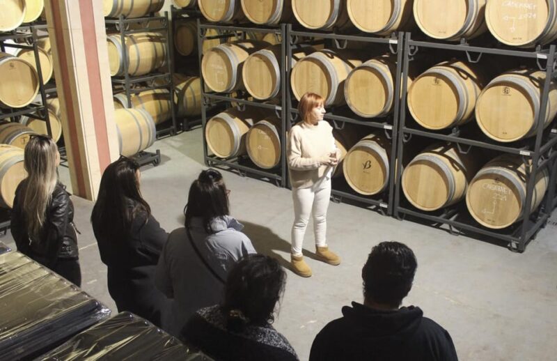 Alcúdia/Can Picafort: Guided Vineyard Visit and Wine Tasting - Customer Feedback
