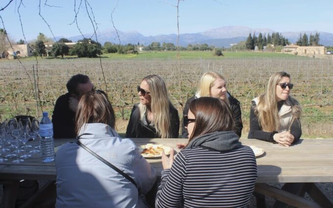 Alcúdia/Can Picafort: Guided Vineyard Visit and Wine Tasting - Barrel Room and Tasting Terrace