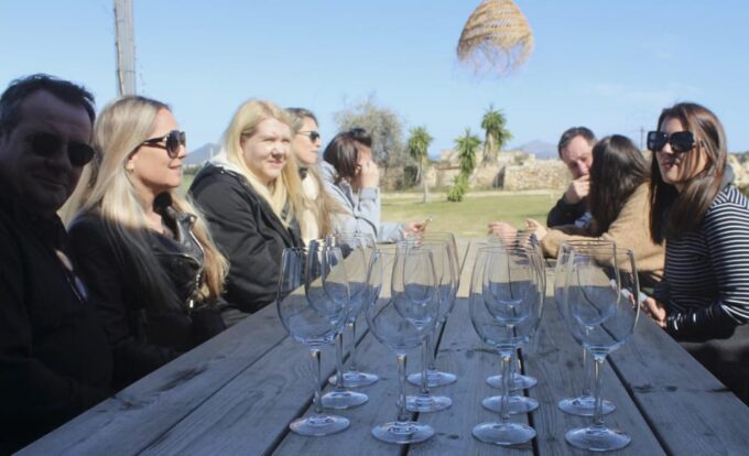 Alcúdia/Can Picafort: Guided Vineyard Visit and Wine Tasting - Embracing Local Traditions and Innovation