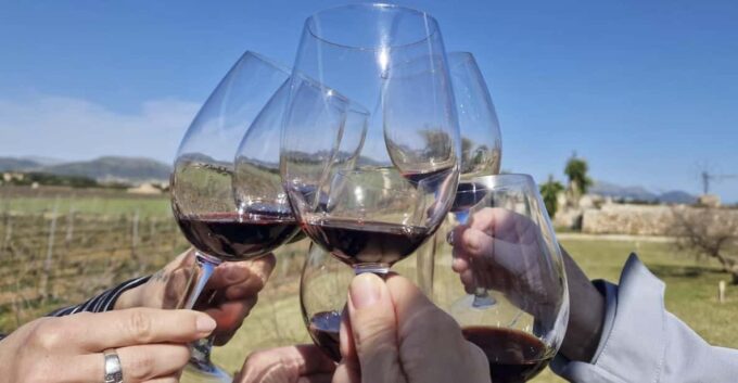 Alcudia/Can Picafort: Guided Vineyard Visit and Wine Tasting - Meeting and Drop-off Locations