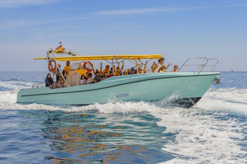 Alcudia: Coll Baix Beach & Sea Caves Cruise With Snorkeling - Key Points