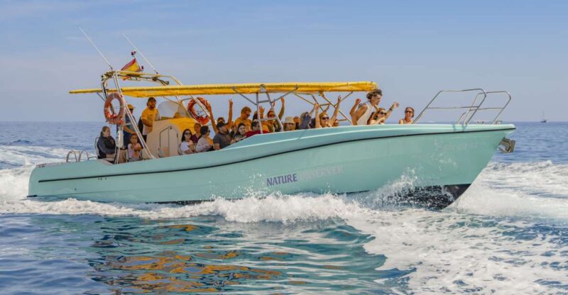 Alcudia: Coll Baix Beach & Sea Caves Cruise With Snorkeling - Highlights and Features