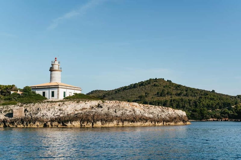 Alcudia or Can Picafort: Dolphin-Watching Cruise - What to Expect on the Cruise