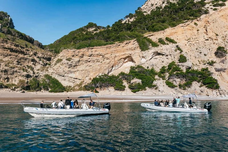 Alcudia or Can Picafort: Dolphin-Watching Cruise - The Experience of Wildlife Watching