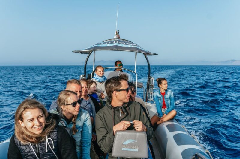 Alcudia or Can Picafort: Dolphin-Watching Cruise - Practical Details and Value