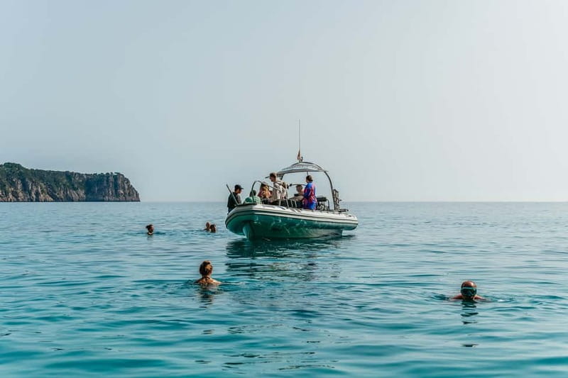 Alcudia or Can Picafort: Dolphin-Watching Cruise - Weather Considerations and Safety