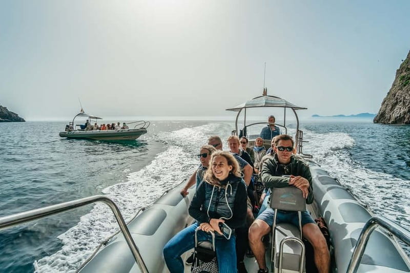 Alcudia or Can Picafort: Dolphin-Watching Cruise - Final Thoughts: Is This Tour Right for You?