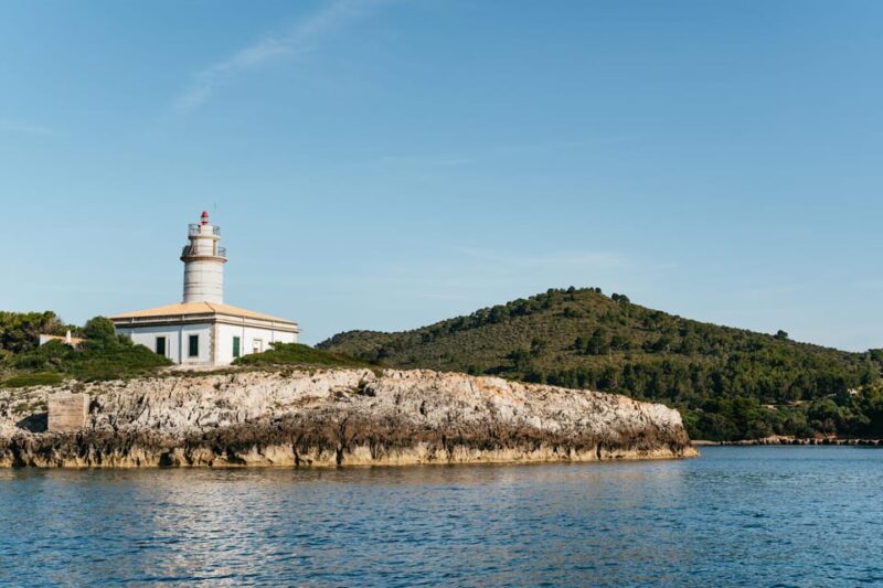 Alcudia or Can Picafort: Dolphin-Watching Tour, Small Group - Key Points