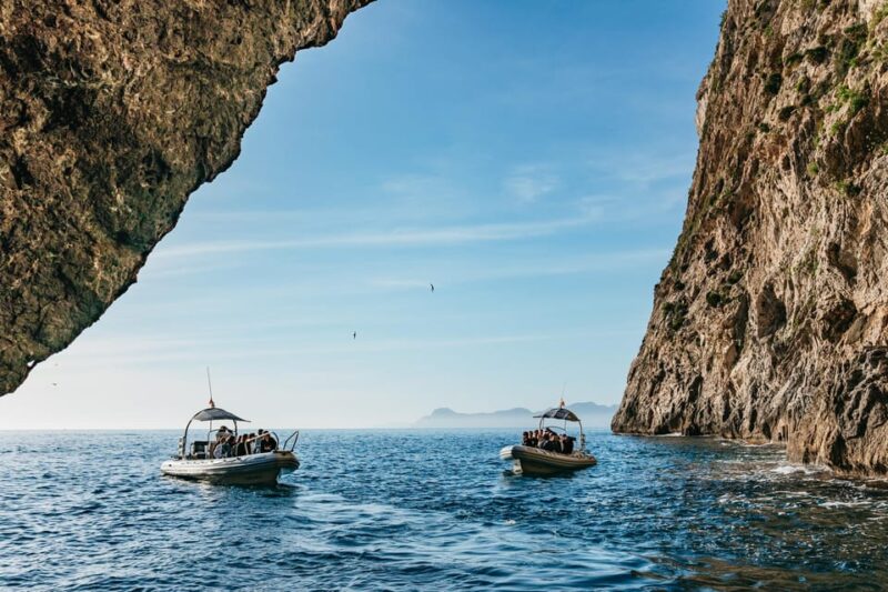 Alcudia or Can Picafort: Dolphin-Watching Tour, Small Group - Scenic Views and Attractions