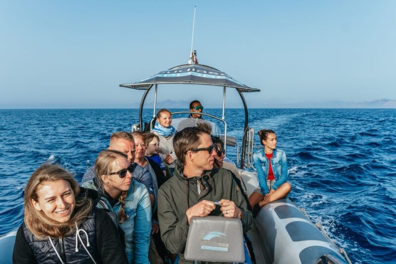 Alcudia or Can Picafort: Dolphin-Watching Tour, Small Group - Sunrise Cruise Option