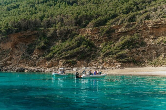 Alcudia or Can Picafort: Dolphin-Watching Tour, Small Group - Swimming and Relaxation at Es Coll Baix