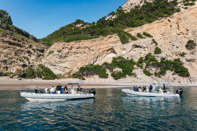 Alcudia or Can Picafort: Dolphin-Watching Tour, Small Group - Practical Information and Booking Details