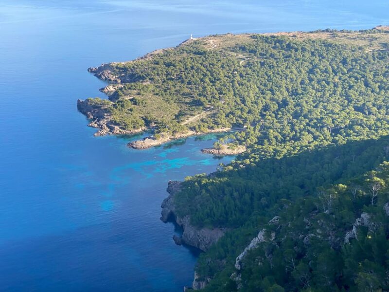 Alcudia & Pollensa Private Boat Tour, Captain, Fuel, Snorkel - Key Points