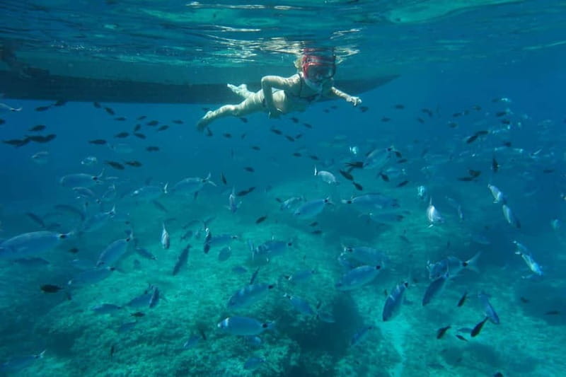 Alcudia: Sea Caves Coves and Snorkeling in small groups - The Vessel and Comfort