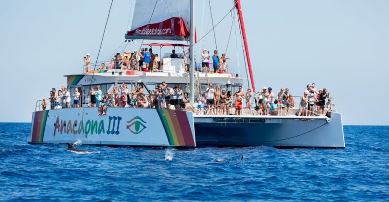 Alcudia: Sunset Catamaran Tour With Dinner and Snorkeling - Experience Details