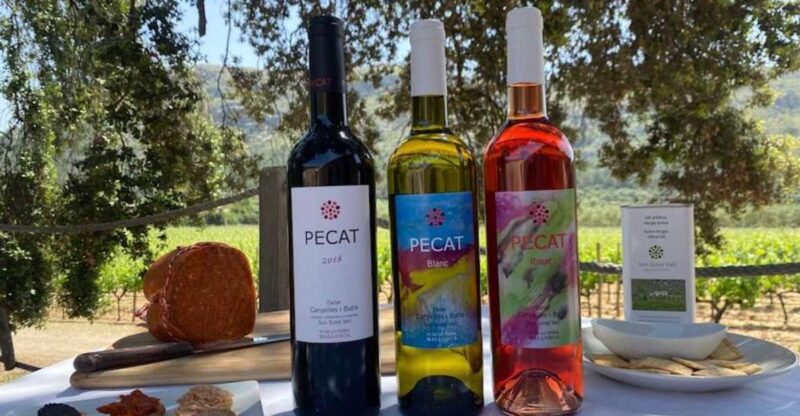 Alcudia: Vineyard Tour & Exclusive Wine Tasting Experience - Mallorcan Winemaking Secrets
