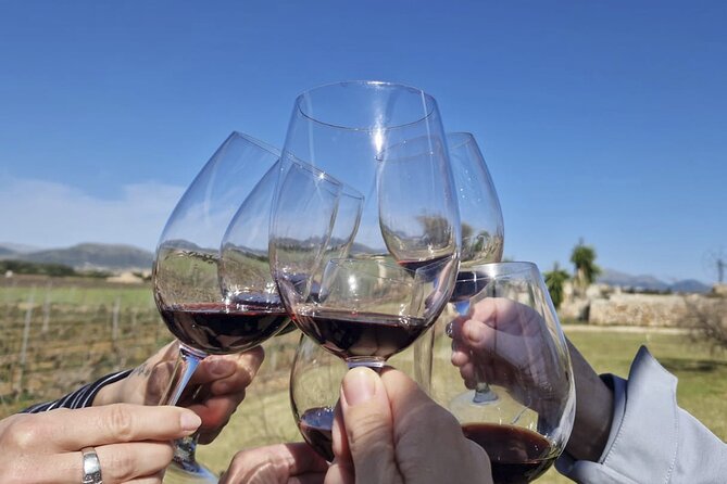 Alcudia Winecellar Tour With Vineyard Visit, Tasting of 5 Wines - What to Expect During Tasting