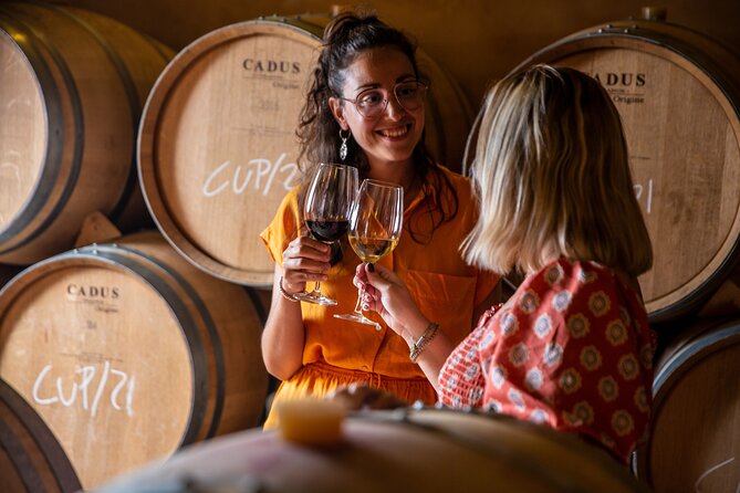 Alcudia Winecellar Tour With Vineyard Visit, Tasting of 5 Wines - Visitor Reviews and Feedback