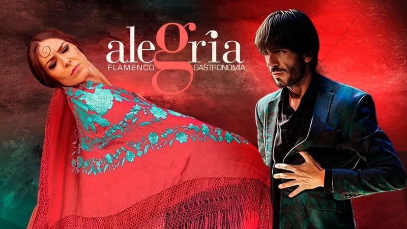 Alegria Flamenco in Malaga, with Transfer, Cocktail and Premium Location - Why This Experience Offers Great Value