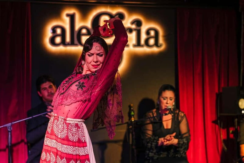 Alegria Flamenco in Malaga, with Transfer, Cocktail and Premium Location - Who Should Consider This Tour?