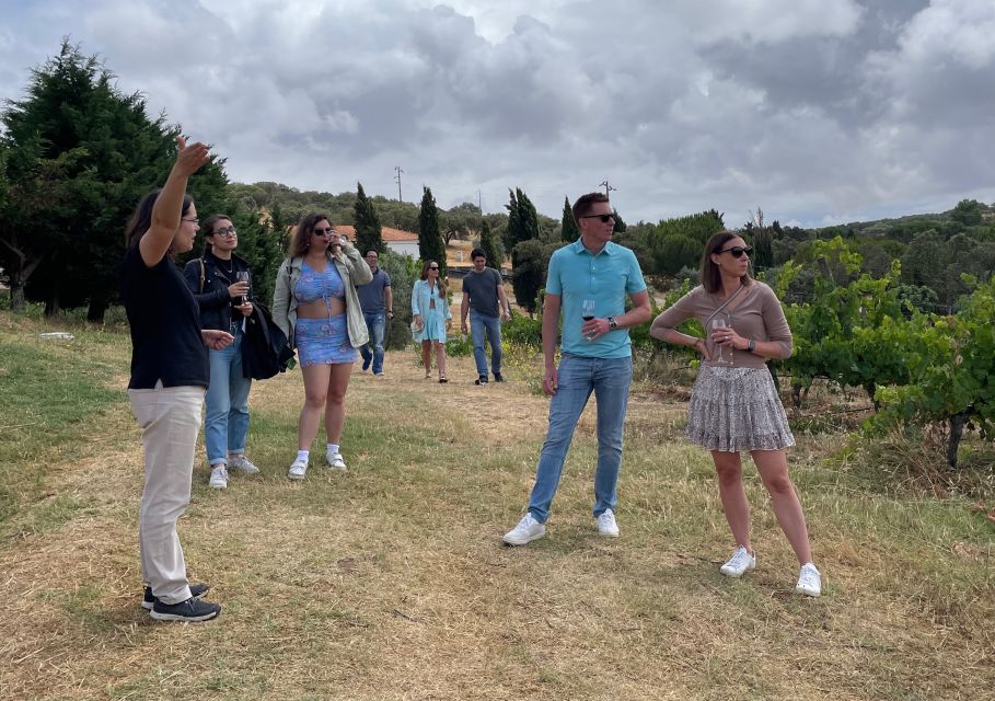 Alentejo Wine From Évora - Booking and Payment Options