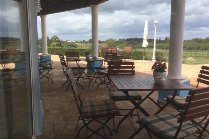 Alentejo Wine Tour from the Algarve - Who Should Consider This Tour?