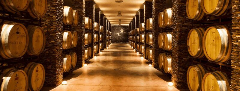 Alentejo Wine Tour from the Algarve - FAQ
